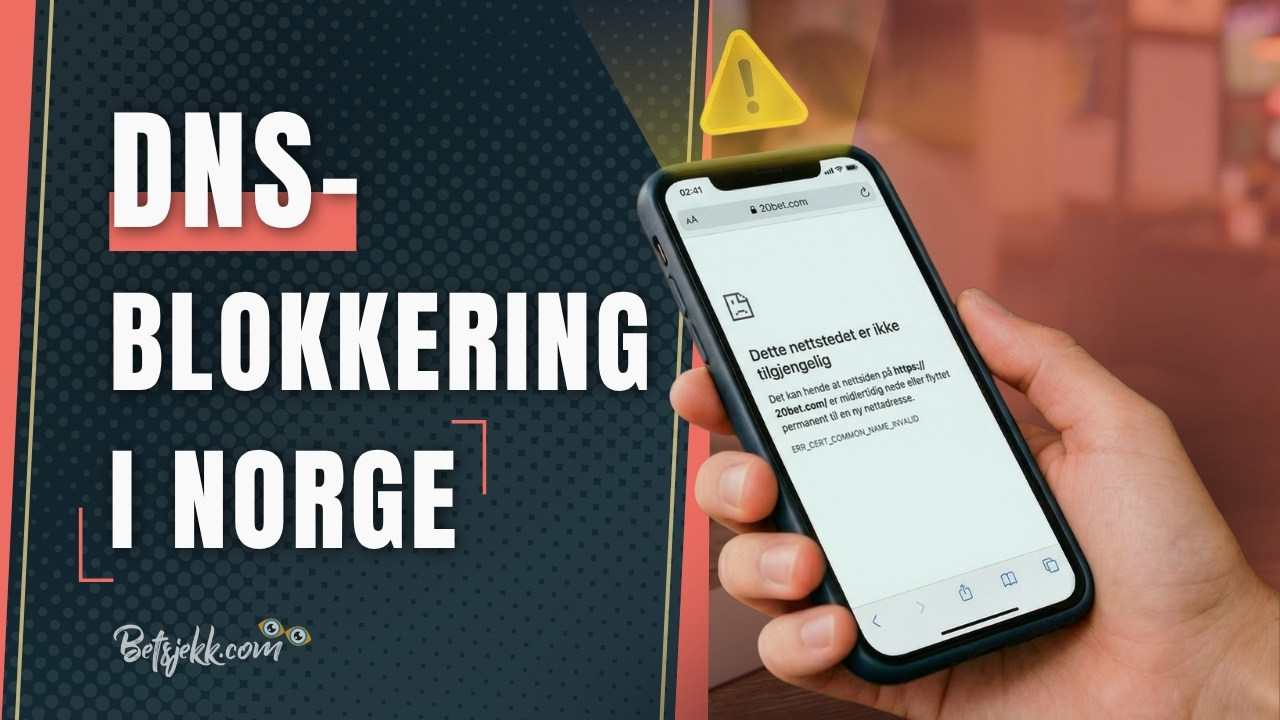 DNS blokkering article img