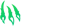 Wild.io bonus